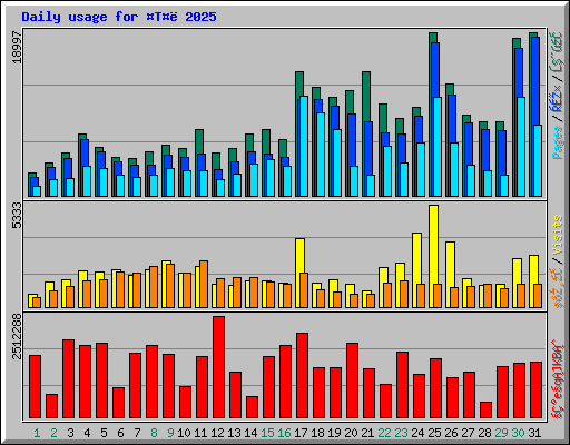 Daily usage for T 2025
