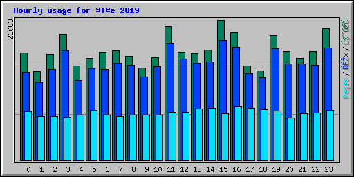 Hourly usage for T 2019