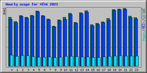 Hourly usage for ���� 2023