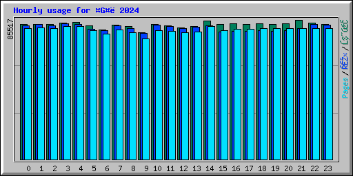 Hourly usage for G 2024