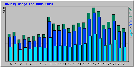 Hourly usage for Q 2024