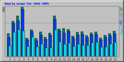 Hourly usage for @ 2025