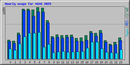 Hourly usage for G 2025