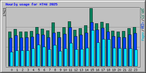 Hourly usage for T 2025