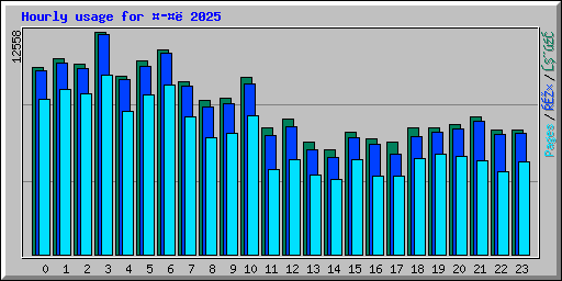 Hourly usage for  2025