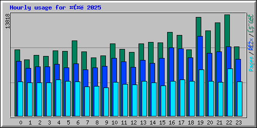 Hourly usage for  2025