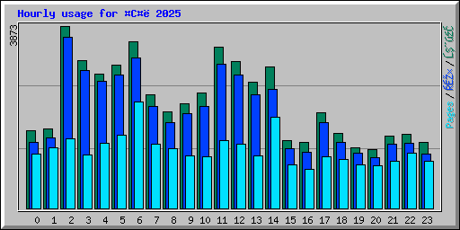 Hourly usage for C 2025