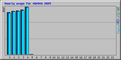 Hourly usage for Q@ 2025