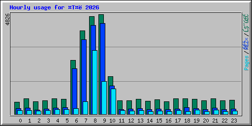 Hourly usage for �T�� 2026